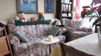 
View of large one bedroom living area