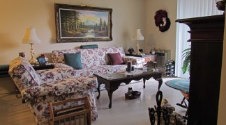 
View of large one bedroom living area
